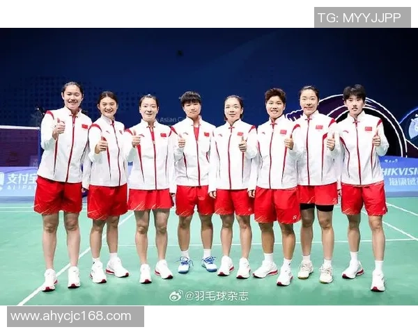 杭州羽毛球队个人能力分析与发展策略探讨